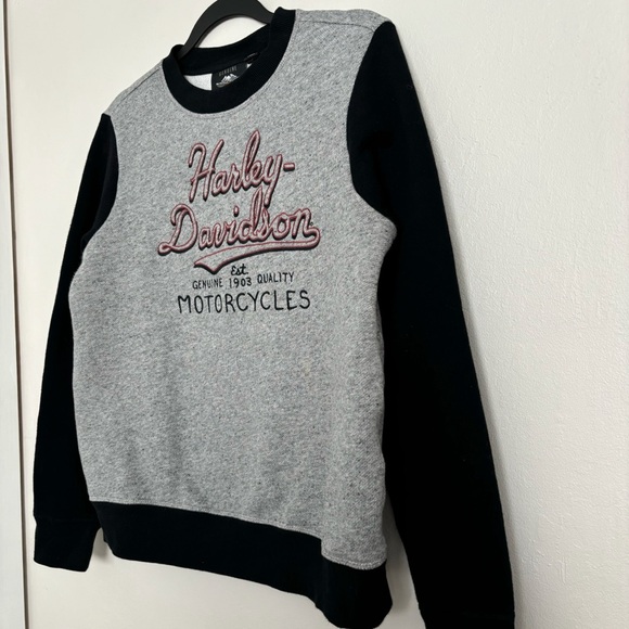 Harley-Davidson Women's Script Font Colorblock Pullover Sweatshirt Size Medium - Picture 2 of 11